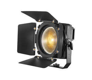 Fanless Noiseless 100W Plegable Led Fresnel Spot Light FD-F74